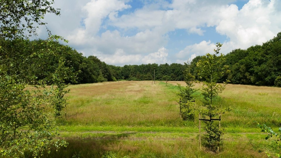 The land at New Eden