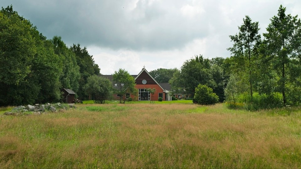 Meadow and forest