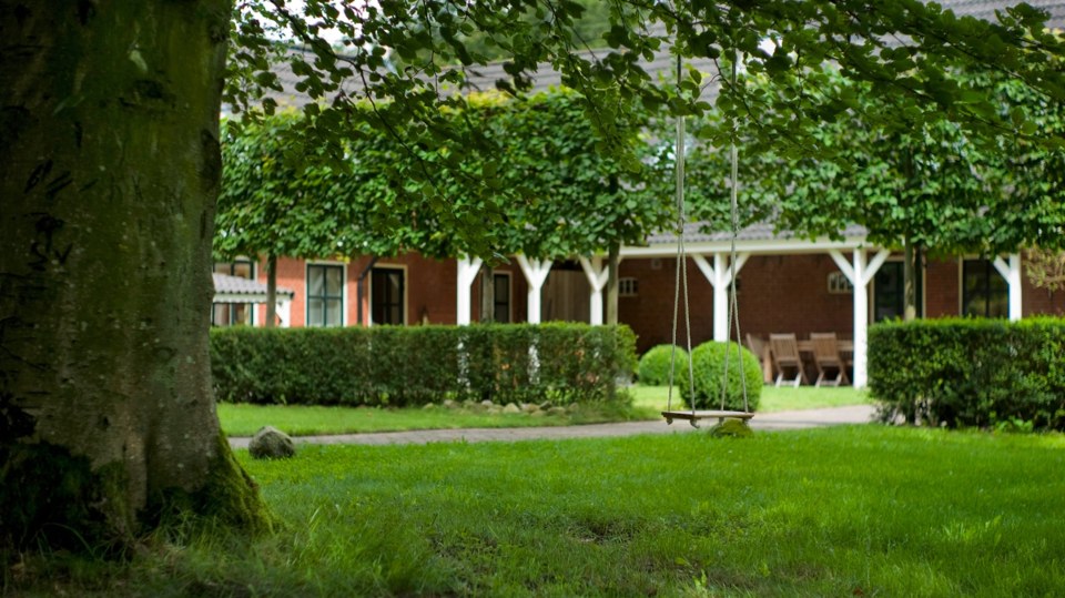 Forest and meadow