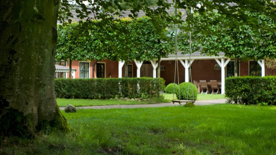 Forest and open meadow at New Eden