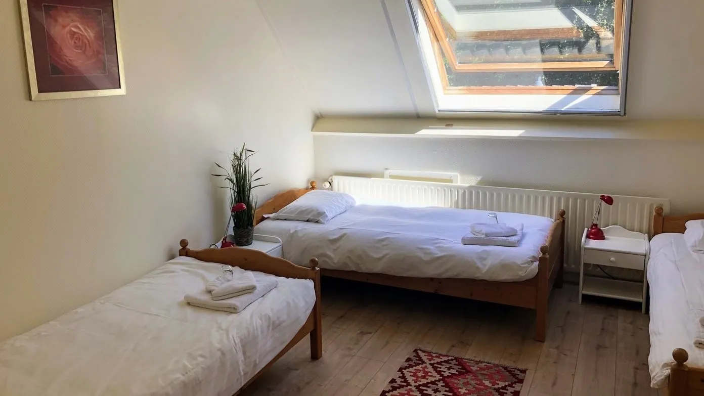 Een tiny home in het bos bij New Eden